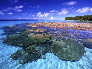 Coral reefs in Marshall Islands