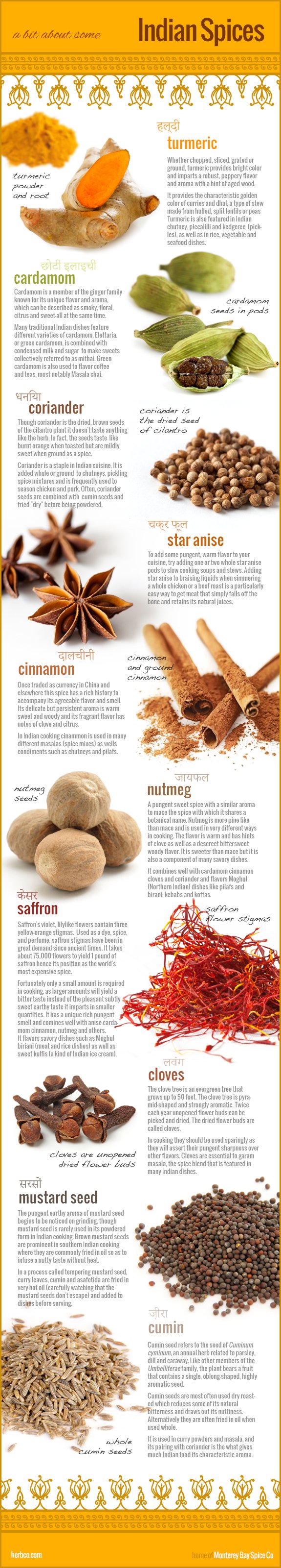 Indian-Spices-Infographic