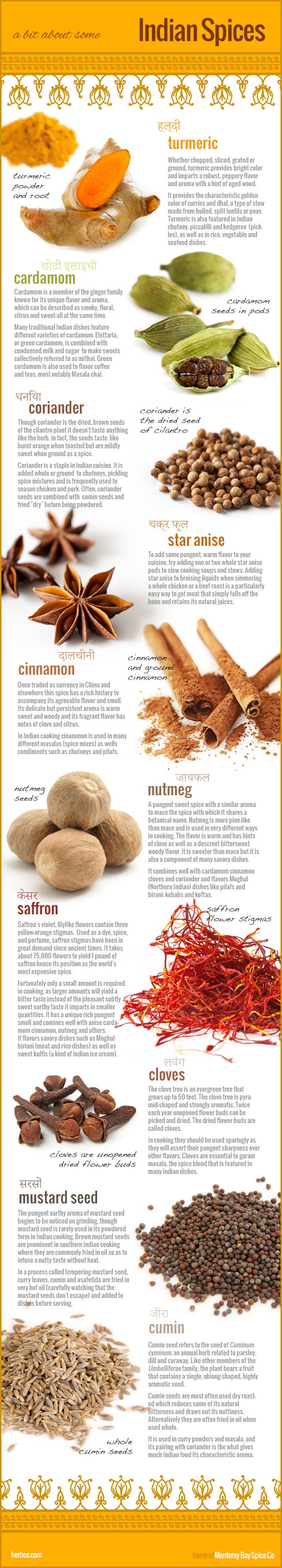 Indian-Spices-Infographic