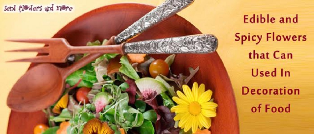 Edible and Spicy Flowers that Can Used In Decoration of Food