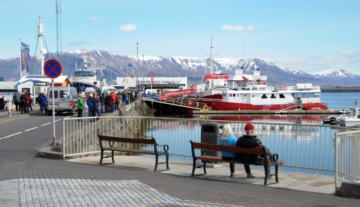 Reykjavik old harbour