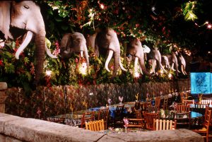 rainforest-cafe-2