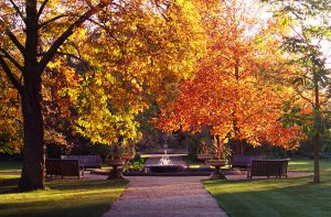 oxford_botanic_garden_in_autumn_2004