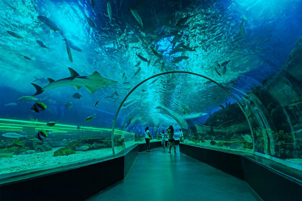 Photo Courtesy: manilaoceanpark.com